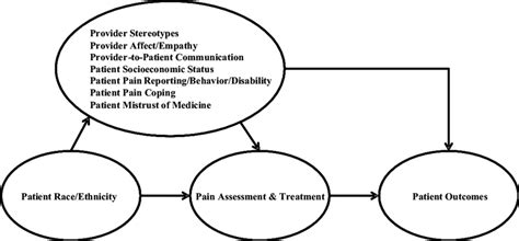 Factors Contributing To Racialethnic Disparities In Pain Assessment