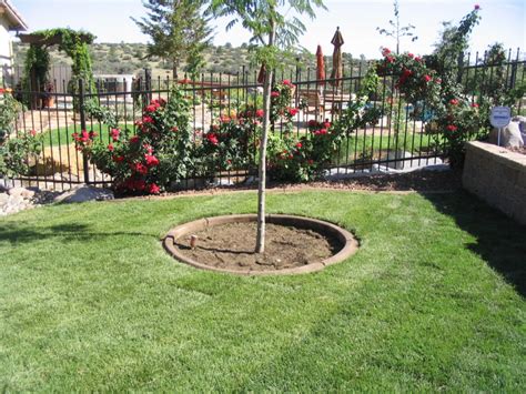 The Benefits Of Professional Landscaping Maintenance Keeping Your