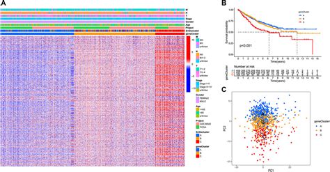 Frontiers Identification Of A Novel Cellular Senescence Related