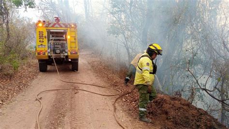 Incendios Forestales El Fuego Ya Arrasó Con Más De 6 500 Hectáreas En