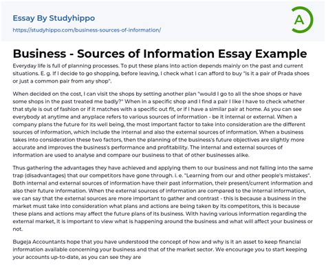 Business Sources Of Information Essay Example