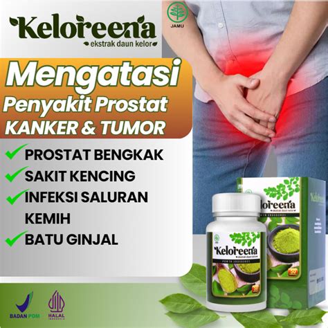 Jual Obat Prostat Bengkak Kanker Obat Cegah Pembesaran Prostat Obat