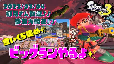 スプラトゥーン3 参加型 ライブ／ 初見さん大歓迎💕金イクラ集め！タツ来る？ビッグランやるよ`･ω･´🐉🐟誰でも！レート関係なし／女性実況