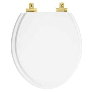 Assento Sanitário Laqueado Soft Close Oval Branco Para Todas As Marcas