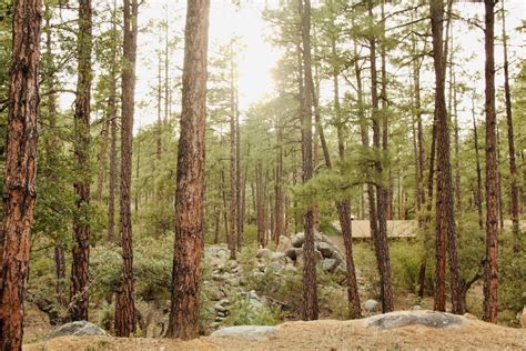 Gallery 2 — Camp Yavapines