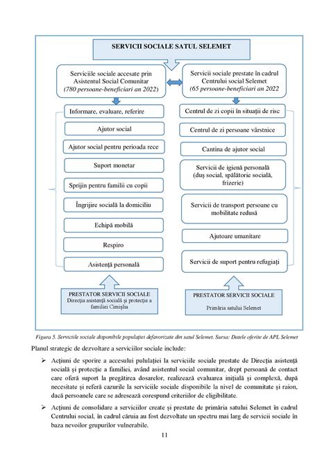 Proiect Plan Strategic De Dezvoltare A Serviciilor Sociale N Satul