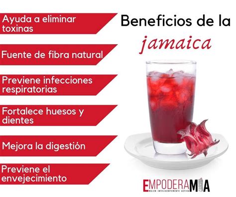 BENEFICIOS DEL AGUA DE JAMAICA PressReader 44 OFF