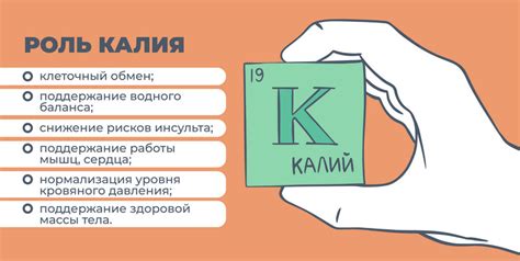 Все о пользе калия: суточная норма, продукты, чем полезен - Столички