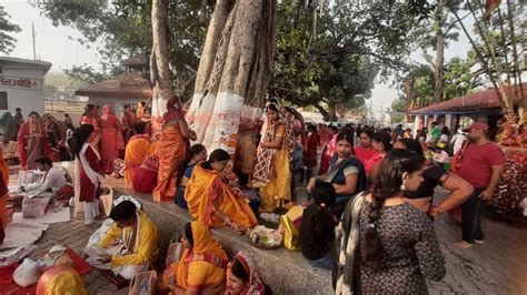 Vat Savitri Puja At Ambikapur वट सावित्री व्रत पर पूजा करने उमड़ी