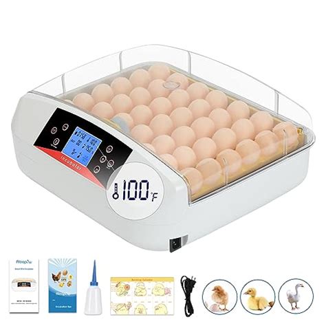 Top Incubators For Chicken Eggs Of Katynel