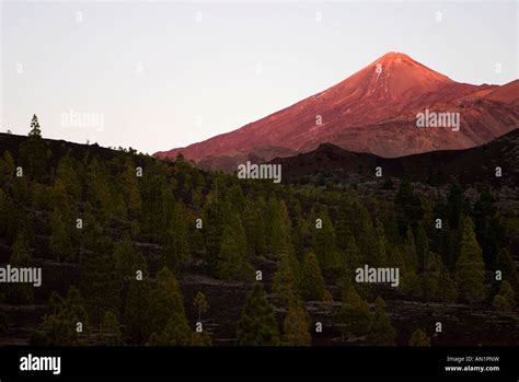 Las Canadas Del Teide Nationalpark Hi Res Stock Photography And Images