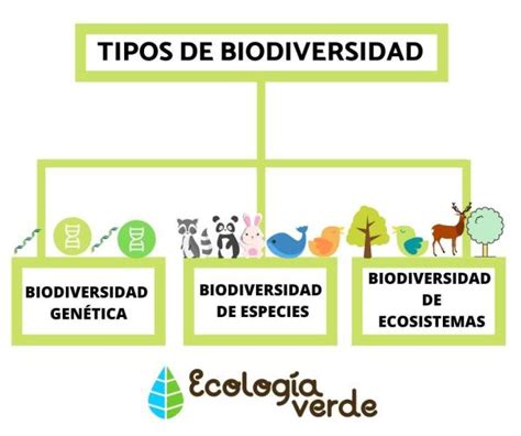 TIPOS de BIODIVERSIDAD Resumen y Características