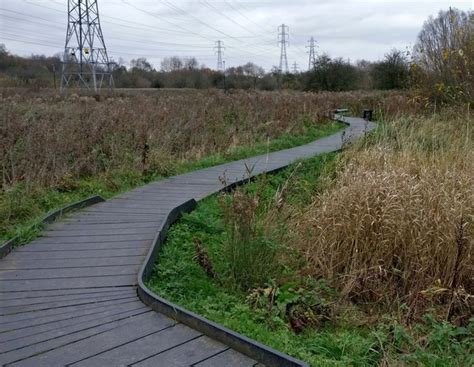 Boardwalk Next To The River Biam On The Mat Fascione Cc By Sa 2 0