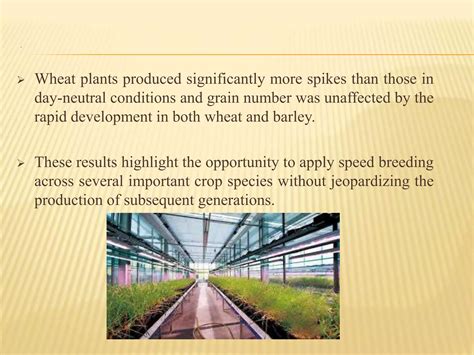 Speed Breeding Presentation Ppt