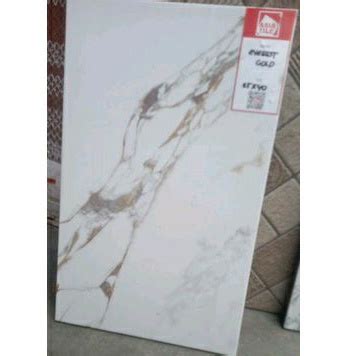 Jual Keramik AT Everest Gold 25x40 Shopee Indonesia