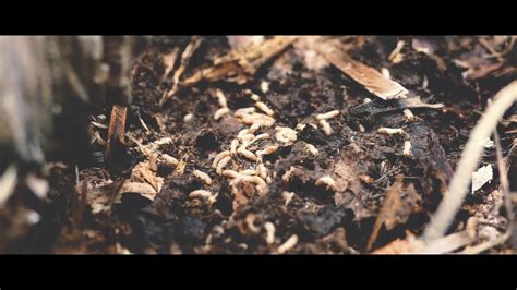 Κλεψύδρα | klepsidra - YouTube