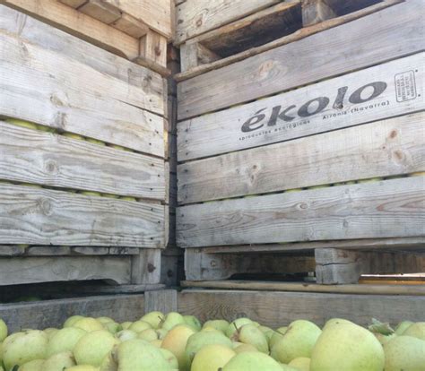 Conoce Qu Variedad De Manzanas Hay Blog Kolo