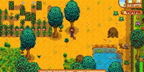 Stardew Valley Oak Trees Growth Uses