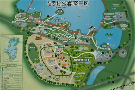 山口県宇部市「ときわ公園・優美な斜張橋 白鳥大橋」 山口県・長門市・今が旬