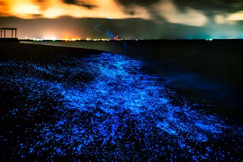 Vaadhoo Sea Of Stars Maldives