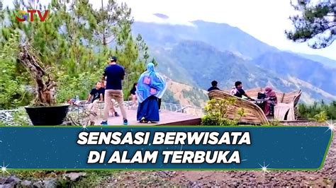 Keindahan Wisata Alam Dante Pine Di Enrekang Sulsel BuletiniNewsPagi