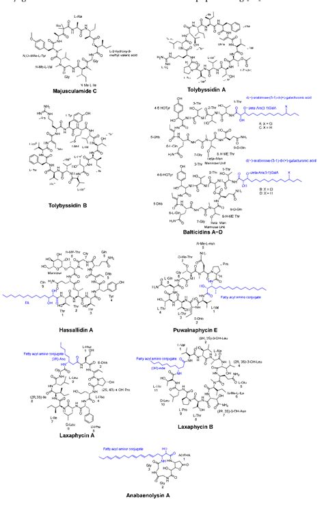 Figure 3 From Cyclic Peptides With Antifungal Properties Derived From Bacteria Fungi Plants