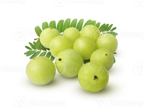 Indian Gooseberry Phyllanthus Emblica Amla Fruits Green Transparent