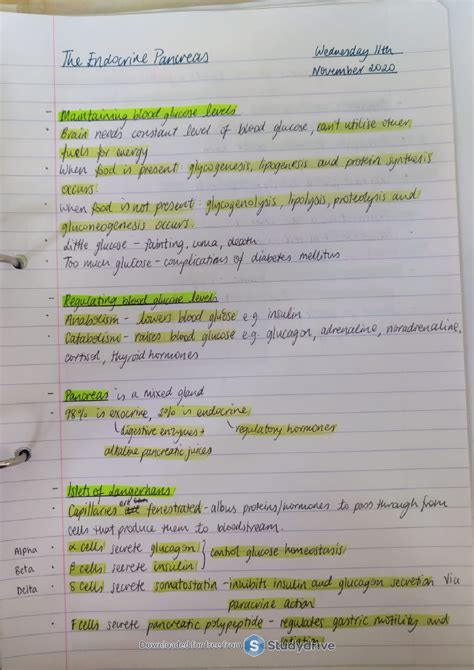 SOLUTION The Endocrine Pancreas Studypool