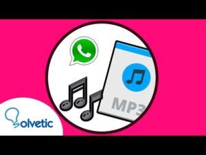 Como Poner Un Audio De Whatsapp Como Tono De Notificaci N Sugest Es