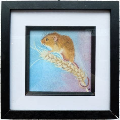 Harvest Mouse Bridgy Gallery