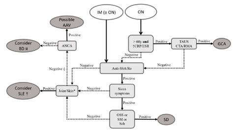 Proposed Approach For The Patient With Optic Neuropathy And Or