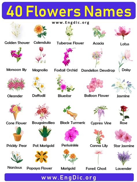 40 Flowers Names | Flower Names List