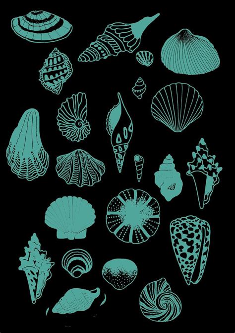 Seashell Clipart Svg Seashell Monogram Seashell Cut File Seashell SVG