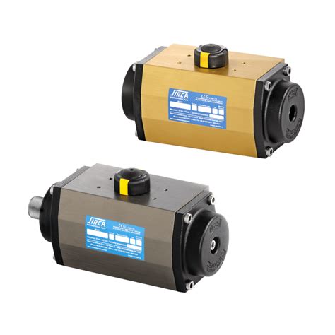 Pneumatic Actuator Valve