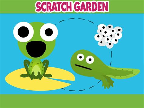 Watch Scratch Garden Fun Learning Songs For Kids Prime Video