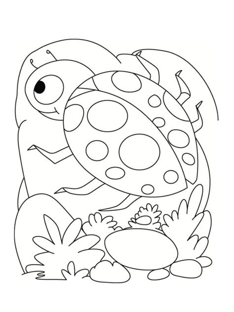 Coloriage coccinelle 20 modèles à imprimer