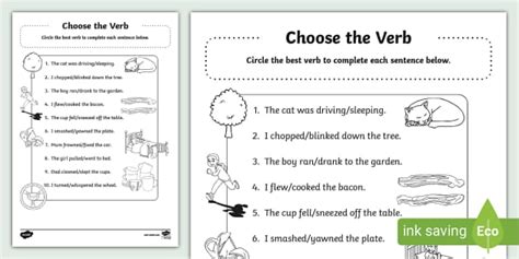 Choose The Verb Activity Sheet Lehrer Gemacht Twinkl