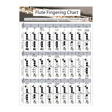 Buy Sycooven Flute Chord Chart Durable Portable Fingering Practice