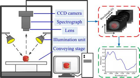 Schematic Illustration Of The Near Infrared Hyperspectral Imaging Download Scientific Diagram