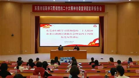 学习宣传贯彻党的二十大精神 东莞阳光网