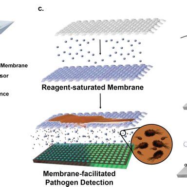 Schematic illustration of the Lab‐in‐a‐Package platform. a) Complete ...