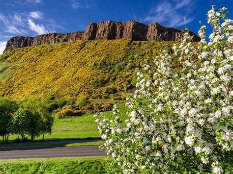 12 Wonderful Things To Do When Visiting Scotland In Spring Lost In