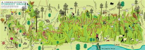 Forest Park Guide: The Best Runs | Portland Monthly