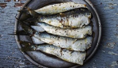 Sardines Keto Friendly Answer Ketogenic Ketoask