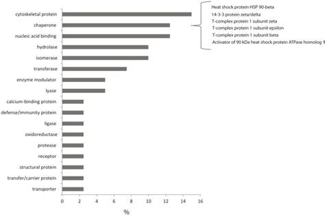 Structural Annotation Cluster Analysis Of Differentially Expressed