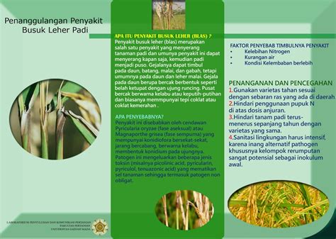 Contoh Brosur Penyuluhan Pertanian Lakaran