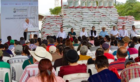 Inicia Agricultura Entrega De Fertilizantes En Tabasco En Beneficio De