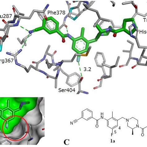 X Ray Cocrystal Structure Of Ror T Pdb Id O Z With Compound A A