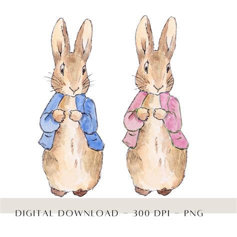 Flopsy Bunny Png Peter Rabbit Clip Art Peter Rabbit Sublimation