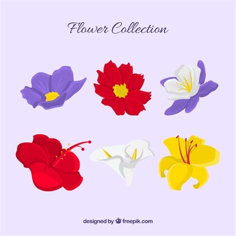 Colecci N De Flores En Estilo Hecho A Mano Vector Gratis